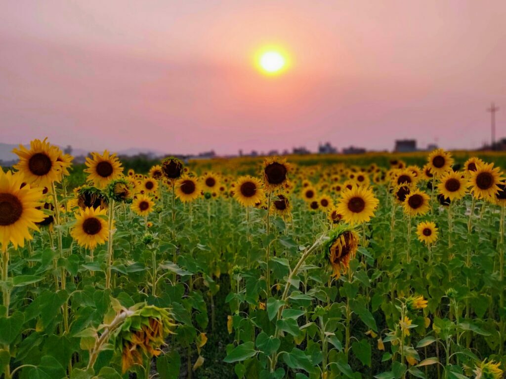 birendranagar