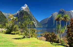 new-zealand-chat  