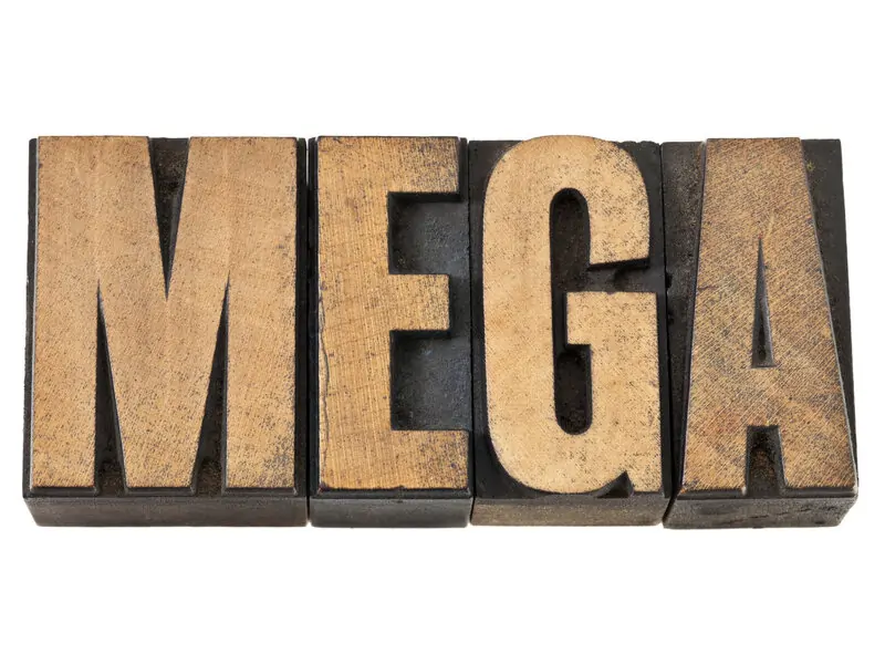 Mega chat room video chat interface