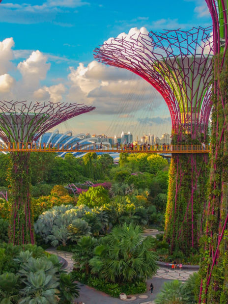 singapore chat